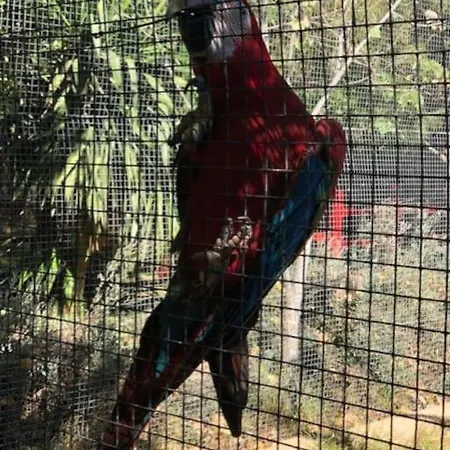 Lovely 1 Bedrom Apartamento *